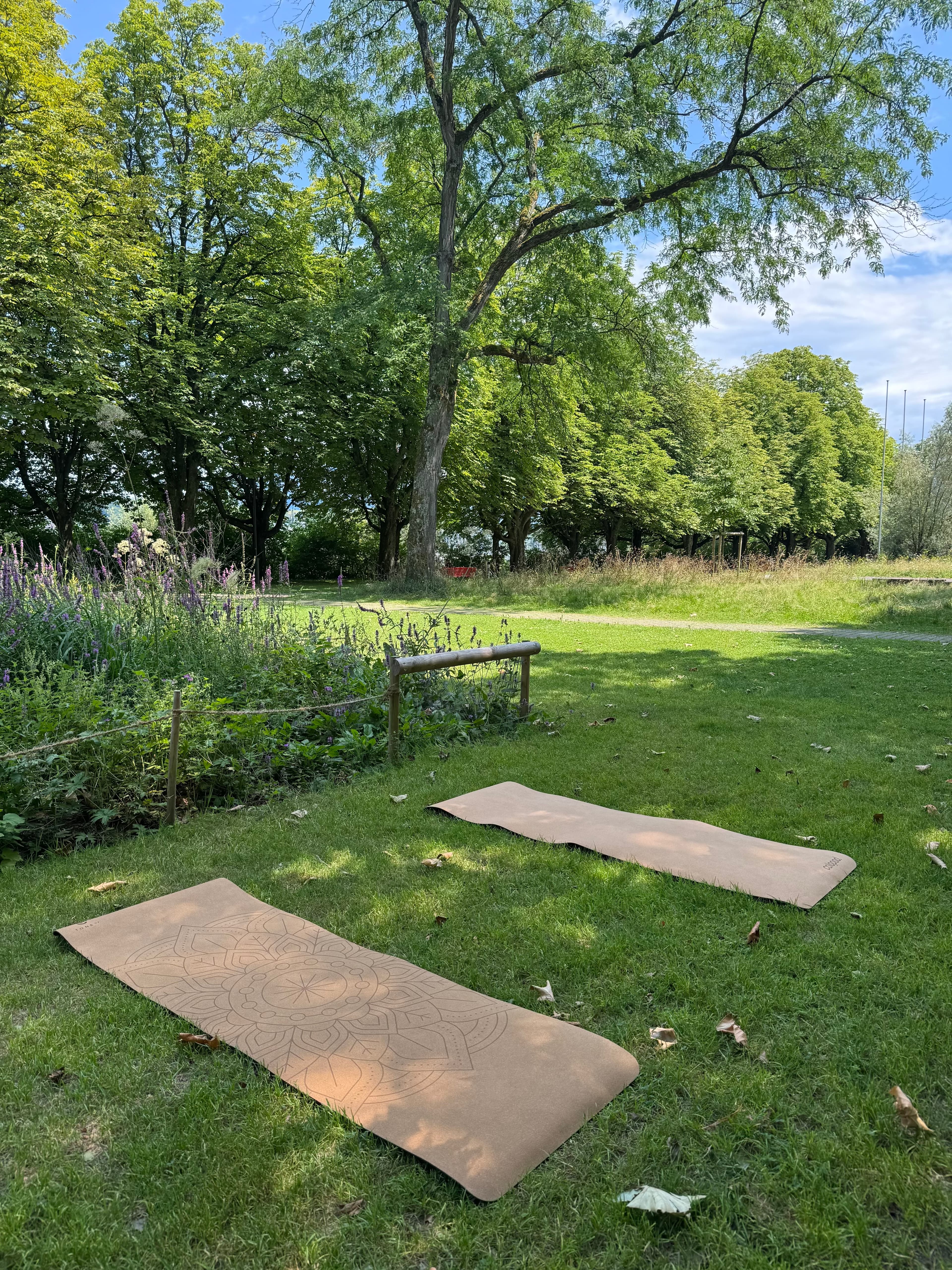 Pilates in the Park
